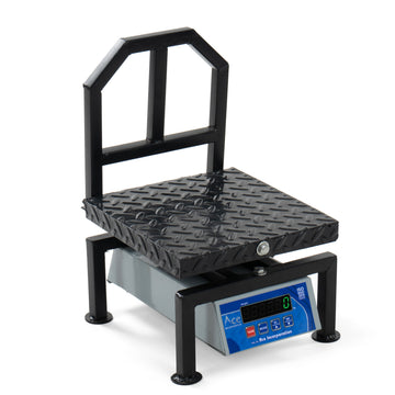 Digital Electronic Weighing Scale Weight Machine for Shop, Commercial and Industrial use Capacity 120 kg Accuracy 10 g ( Ss Platform) Chargeable with Front Back Double Red Display, (350*350) mm