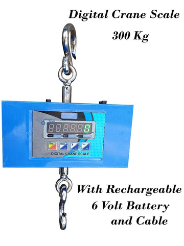 Ace Hanging Type Weight Scale Weighing Machine 300 kg